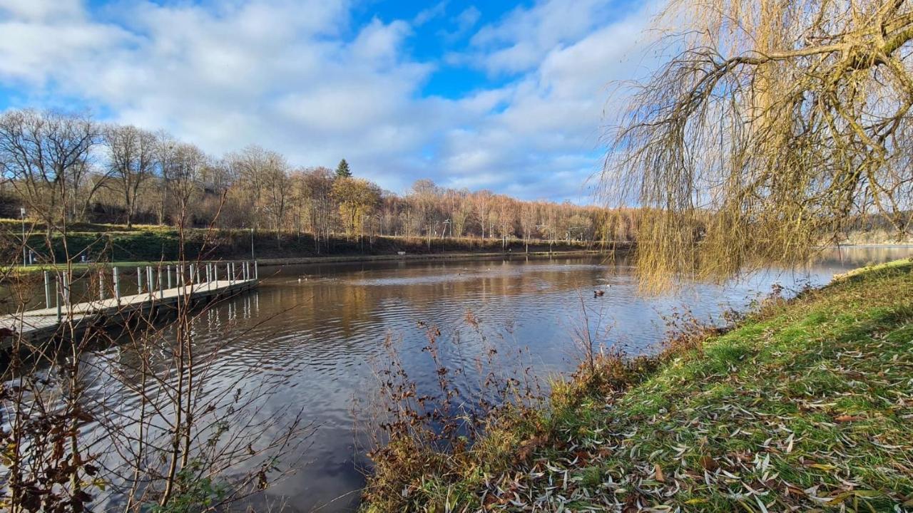 Le Salmoyard, studio au bord du lac à Vielsalm Esterno foto
